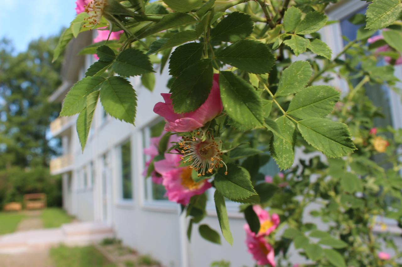 Apartments Yurd Jūrkalne Dış mekan fotoğraf